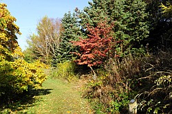 Arboretum