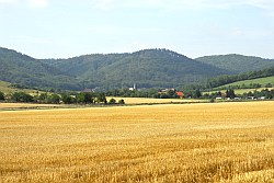 Benzingerode
