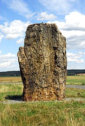 Benzingerode - Erster Menhir - Premier menhir