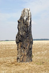 Benzingerode - Zweiter Menhir - Deuxime menhir
