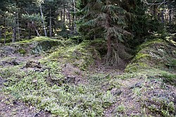 Rammelsberg - Hohlwege - Chemins creux