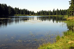 Bockswiese (Harz) AuerhahnKaskade (2)