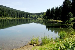 Bockswiese (Harz) AuerhahnKaskade (2)