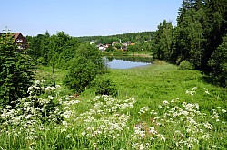 Am Unteren Flssteich - Au bord de l'tang