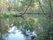 Rhumequelle - Gr��te Quelle Deutschlands