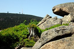 Groe Zeterklippe - Fortsetzung - Suite