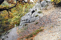 Durch das Bodetal - Fortsetzung - Suite