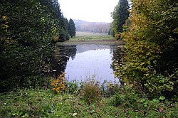 Steinmühlental - Fortsetzung - Suite