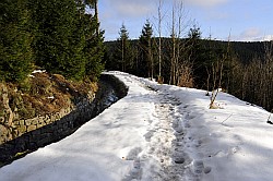 Hutthaler Widerwaage in Winter