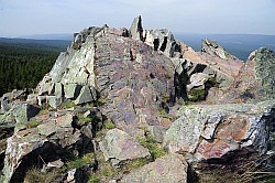 Wolfswarte (Harz)