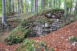 Burgruine Erichsburg