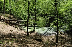 Erdfälle im Lüderholz - Dolines - Sink holes