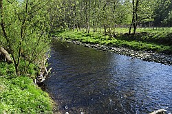 Sieber