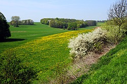 Liebenrode