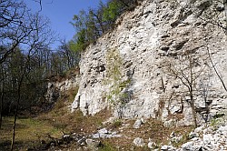 Alter Steinbruch - Vieille carrire - Old quarry