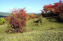 Rdigsdorfer Schweiz