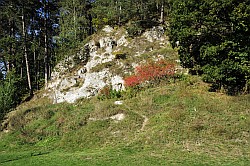 Steigerthal