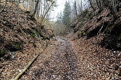 Auf dem Stempedaer Marktweg