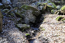 Dinsterbachschwinde - Ponor