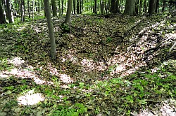 Altbergbau im Plsfelder Revier - Pinge