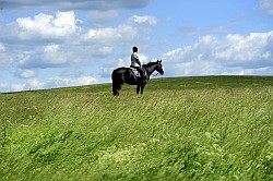 Grne Karstlandschaft