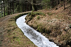 Lautenthaler Kunstgraben