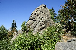 Feigenbaumklippe - Rocher du Figuier