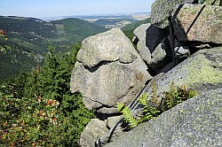 Ksteklippen (der Alte vom Berge)