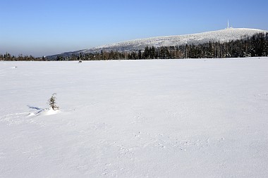 Großes Torfhausmoor (Harz)