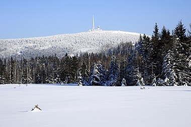 Großes Torfhausmoor (Harz)