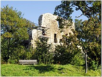 Harzer Burgruinen