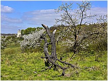 Fallstein