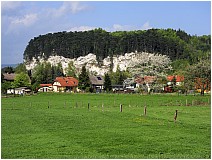 Sachsenstein (Neuhof)