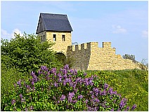 Pfalz Werla