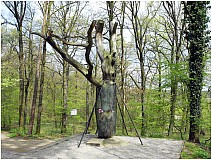 KZ-Gedenkst�tte Langenstein-Zwieberge