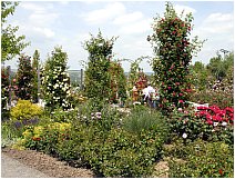 Sangerhausen