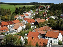 Tanne