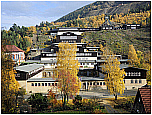 Walkenried